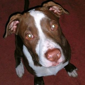 Meet your Posher, Deborah