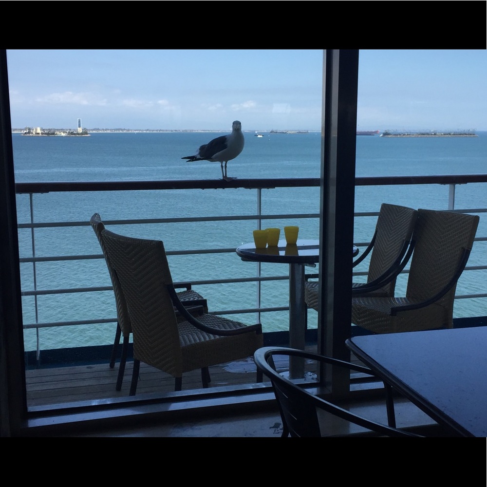 Meet your Posher, Maria