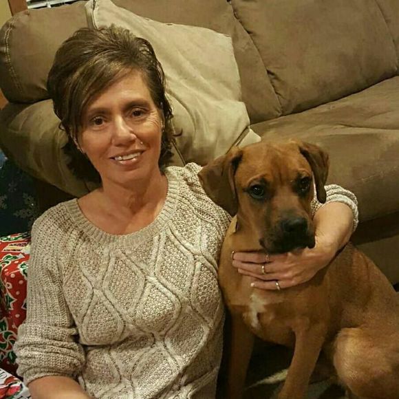 Meet your Posher, Sue - Picture 1 of 1