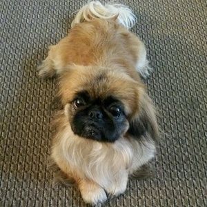 Meet your Posher, Natalie