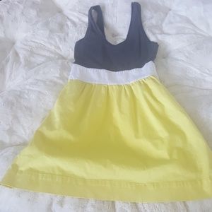 Express fit n flare dress