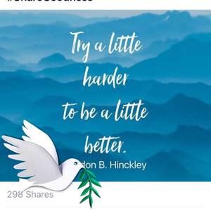 Meet your Posher, Sanoma