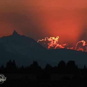 Meet your Posher, Kristi