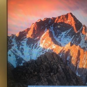 Meet your Posher, Dina