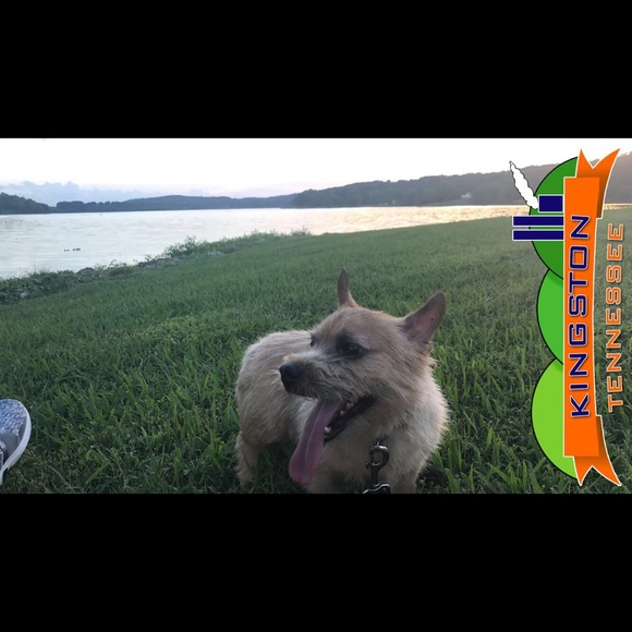 Meet your Posher, Sherry - Picture 1 of 1