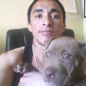 Meet your Posher, George