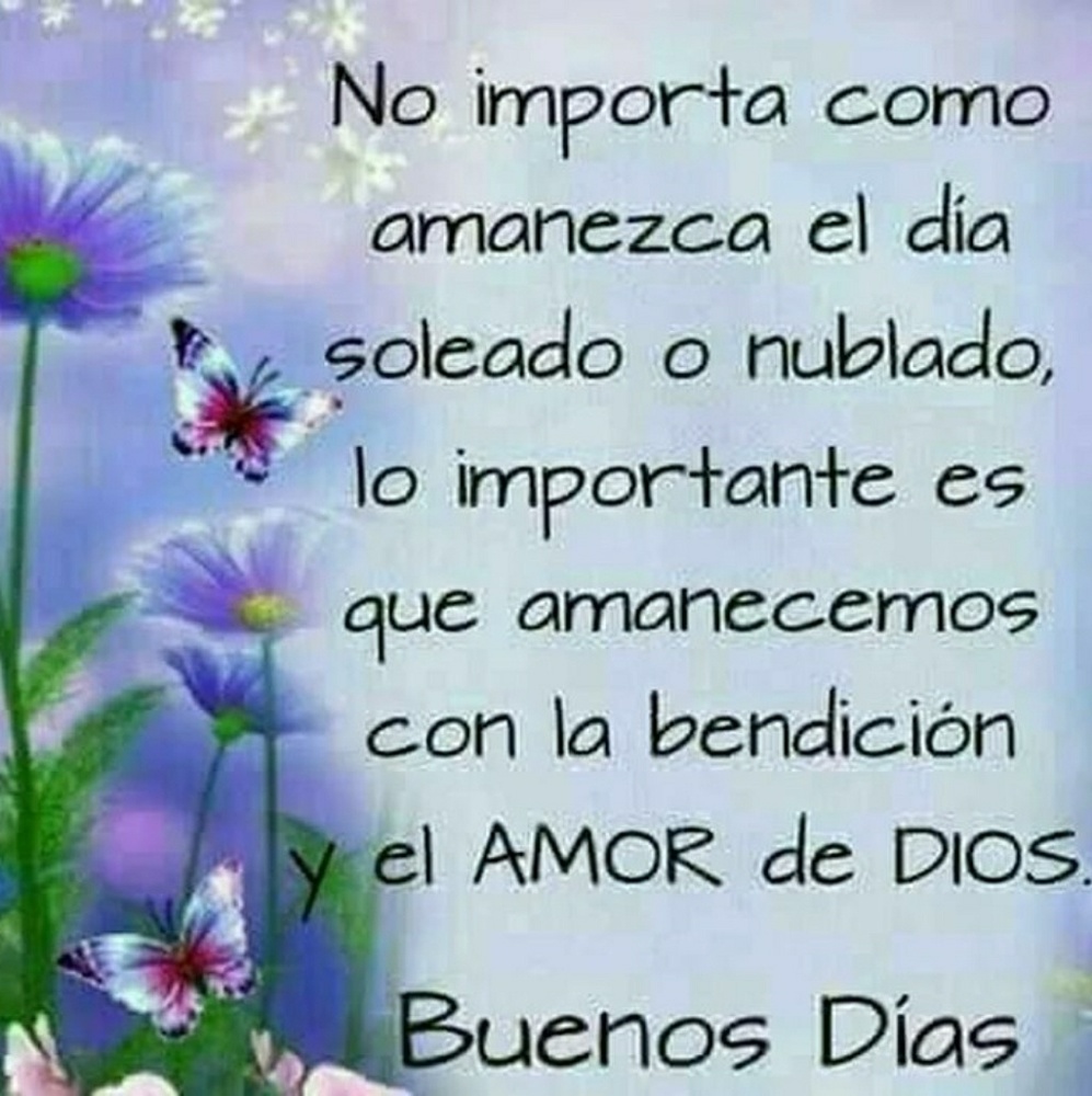 Meet your Posher, Palomo