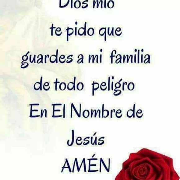 Meet your Posher, Palomo - Picture 2 of 2