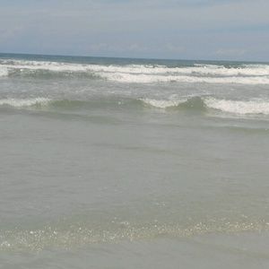 Meet your Posher, Brandi