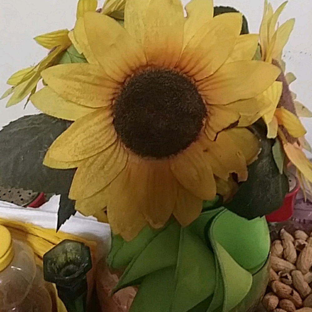 Meet your Posher, Julia