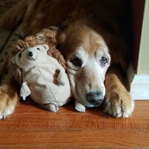 Meet your Posher, Patti