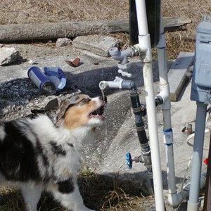 Meet your Posher, Jane