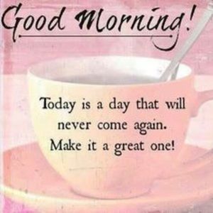 Meet your Posher, Teresa