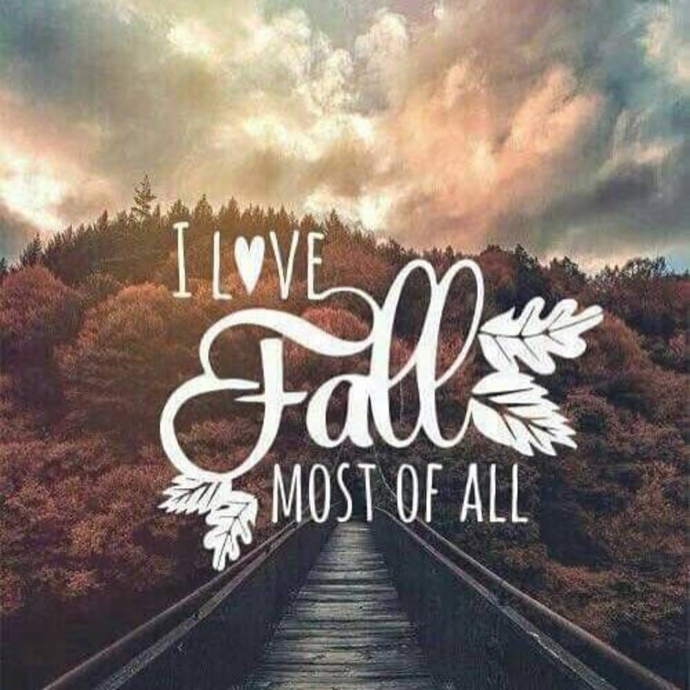 Meet your Posher, Carmen