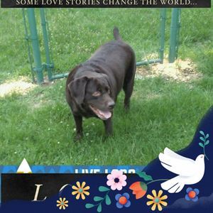 Meet your Posher, Rhonda