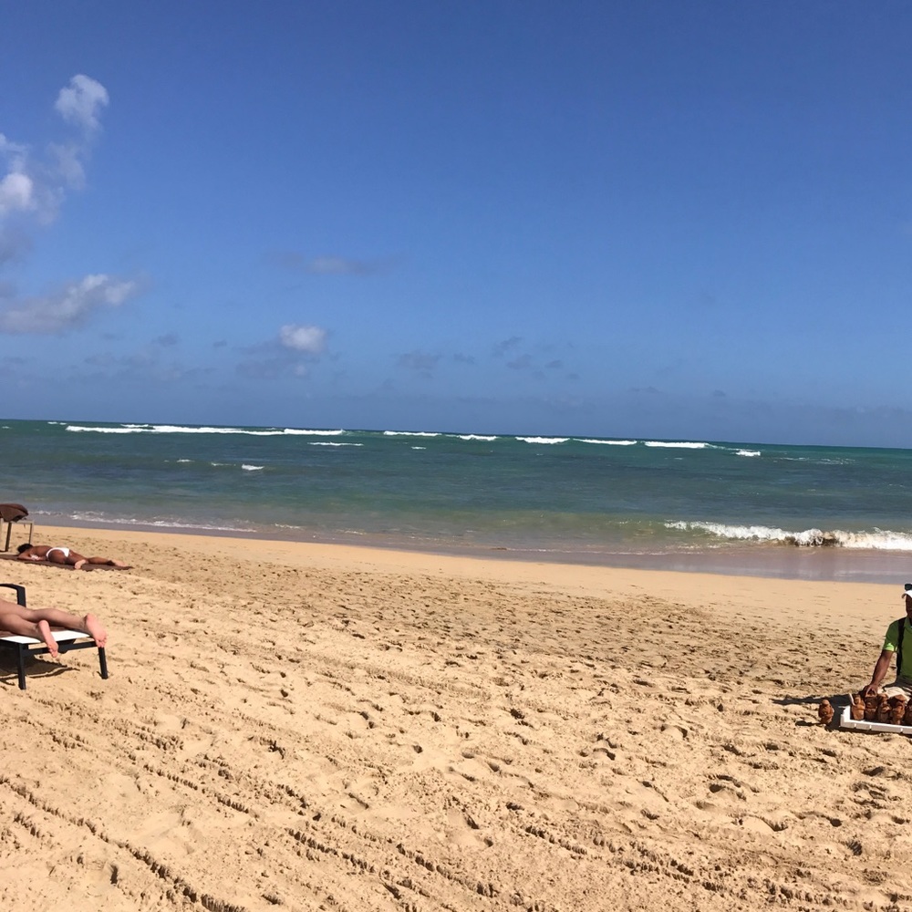 Meet your Posher, Krista