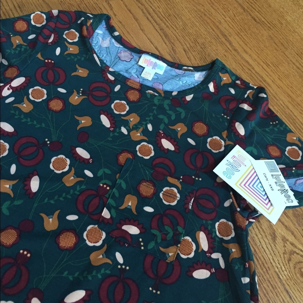 NWT LuLaRoe Carly Dress XXS