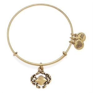 Alex and Ani Crab Charm Bangle