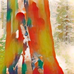 Meet your Posher, Suzanne