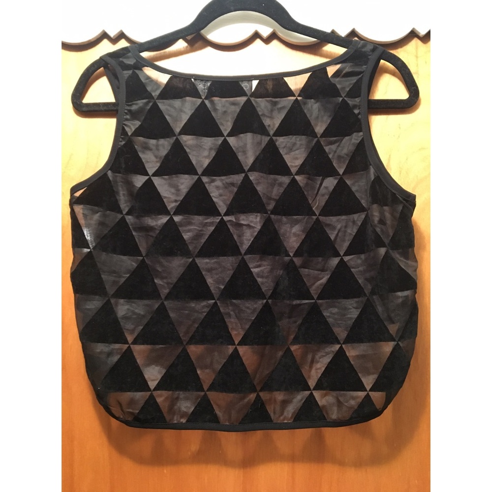 Gypsy Warrior Sheer Black Croptop