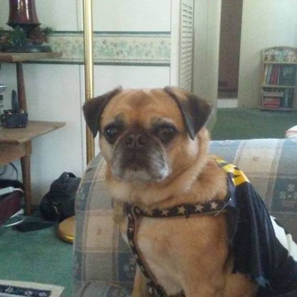 Meet your Posher, Michelle - Picture 1 of 1