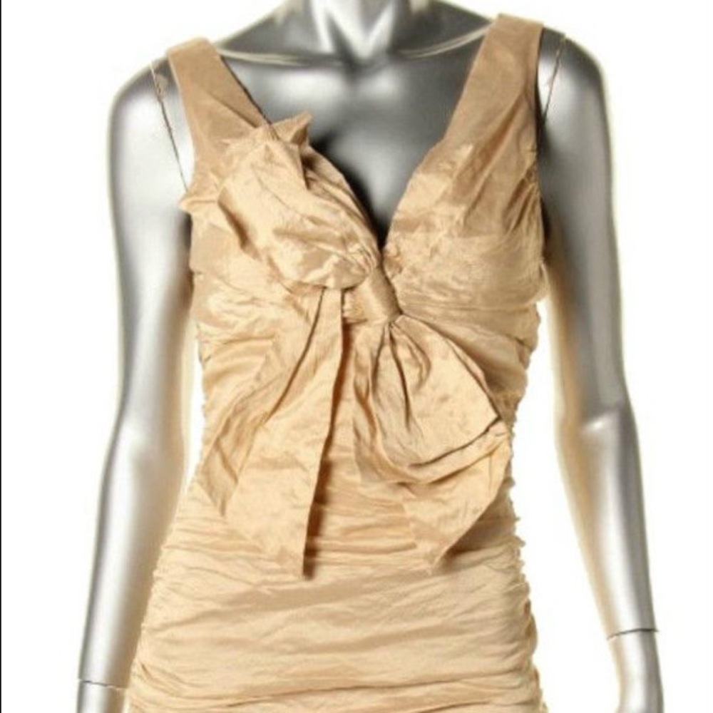 BCBG Maxazria brand new dress