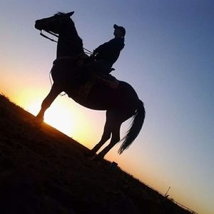 Meet your Posher, Tamie