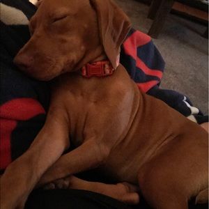 Meet your Posher, Andrea