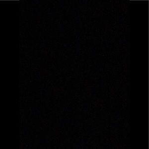 Meet your Posher, Antoinette