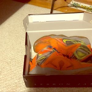 Lebron basketball shoes warn