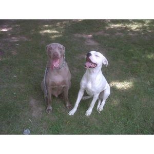 Meet your Posher, Ian