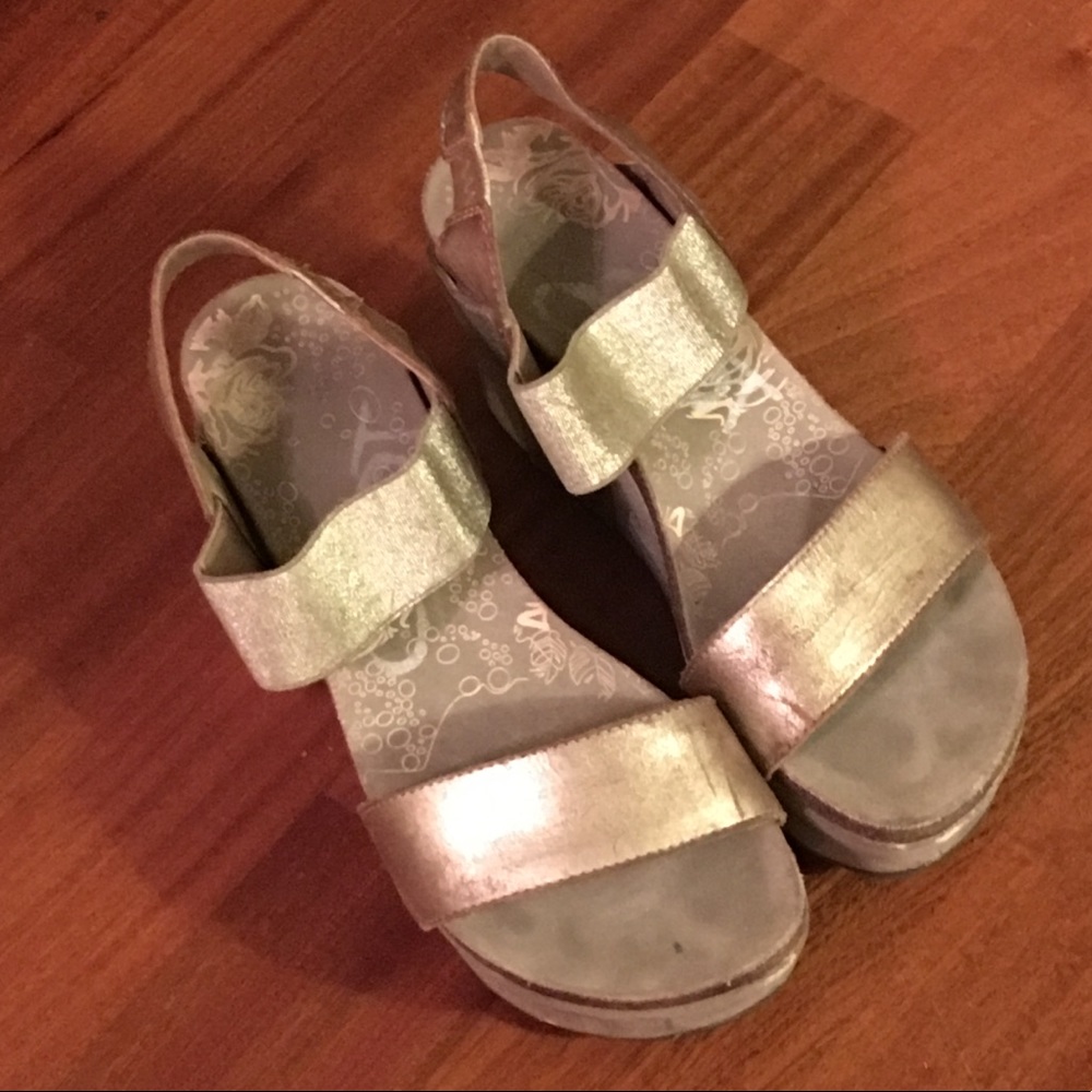 Otbt Bushnell wedges