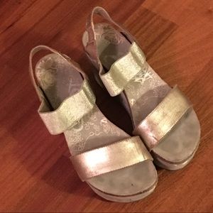 Otbt Bushnell wedges