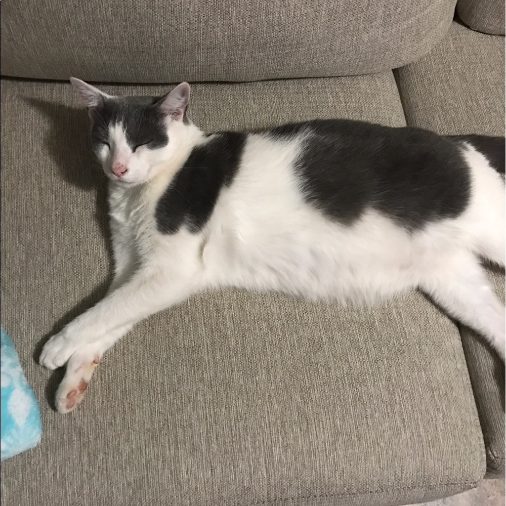 Meet your Posher, Julie