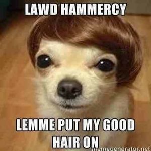 Meet your Posher, Glenda