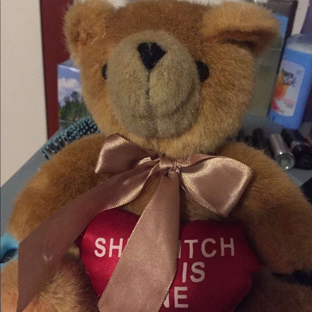 Shit Bitch You Is Fine teddy bear