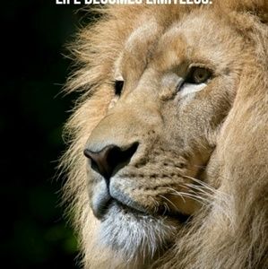 Meet your Posher, Jeff