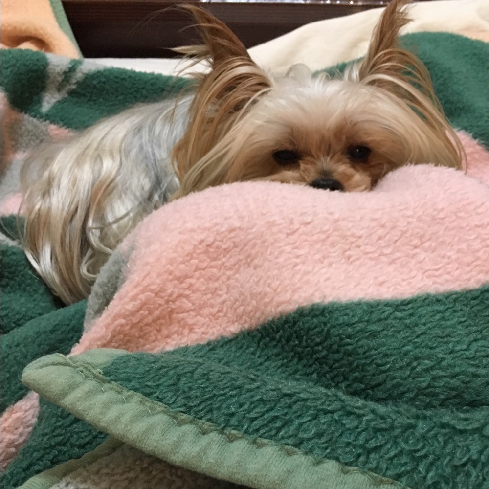 Meet your Posher, Sheila