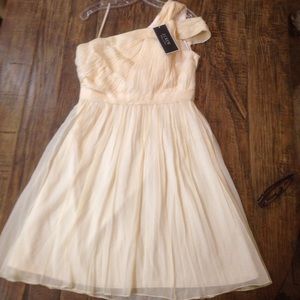 J.crew champagne C8932 bridesmaid/mother dress