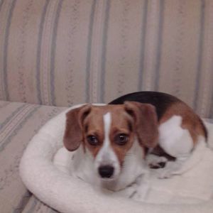 Meet your Posher, Carol