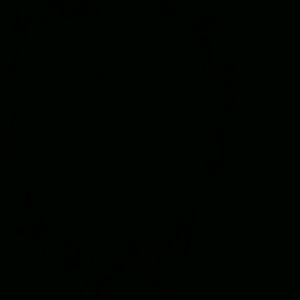 Meet your Posher, Wild