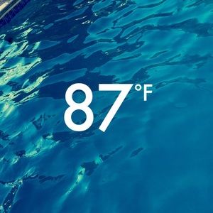 Meet your Posher, Bella