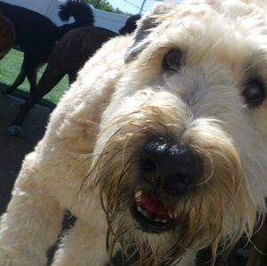 Meet your Posher, Caroline