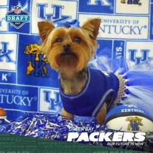 Meet your Posher, Lisa