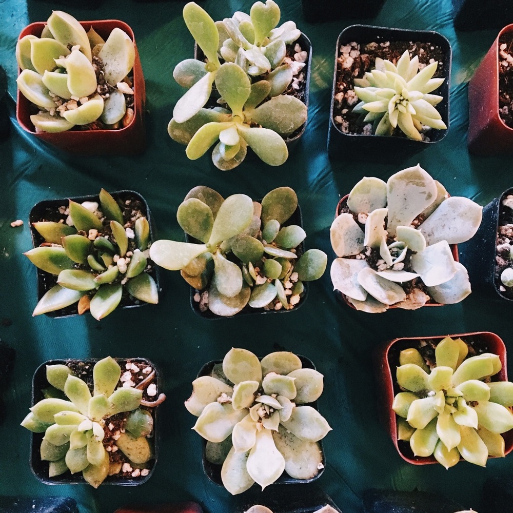 Meet your Posher, Bethany