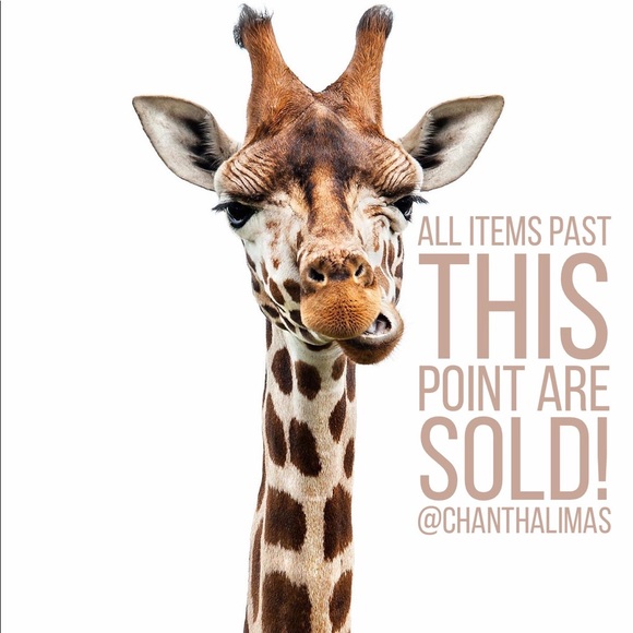 END OF CLOSET - Picture 1 of 1