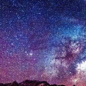 Meet your Posher, Joann