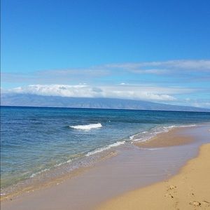 Meet your Posher, Elvira