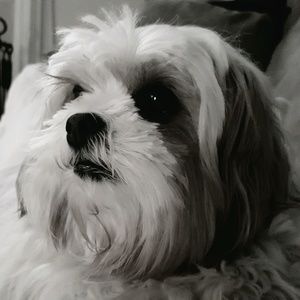 Meet your Posher, Beth