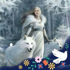 Meet your Posher, Colleen